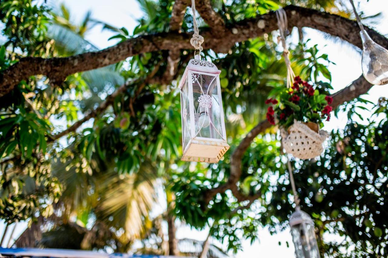 White House In Goa, Truly Amazing Experience Bed & Breakfast Saligao ภายนอก รูปภาพ