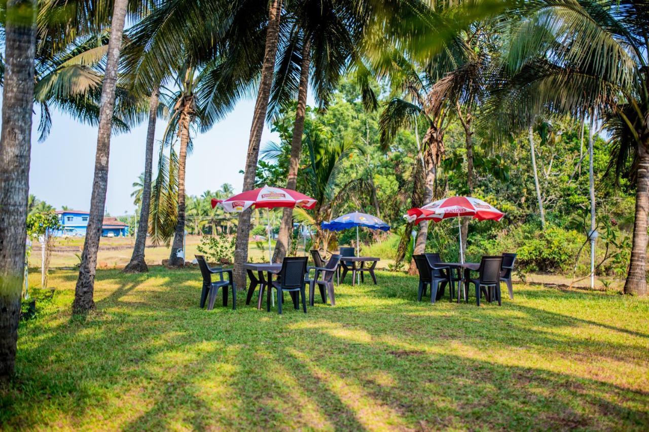 White House In Goa, Truly Amazing Experience Bed & Breakfast Saligao ภายนอก รูปภาพ